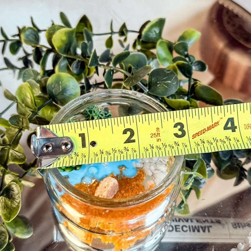 Mini Crab Terrarium